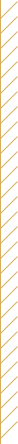 shape-18